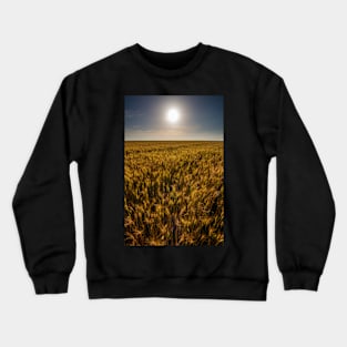 Wheat field at sunset, sun in the frame Crewneck Sweatshirt